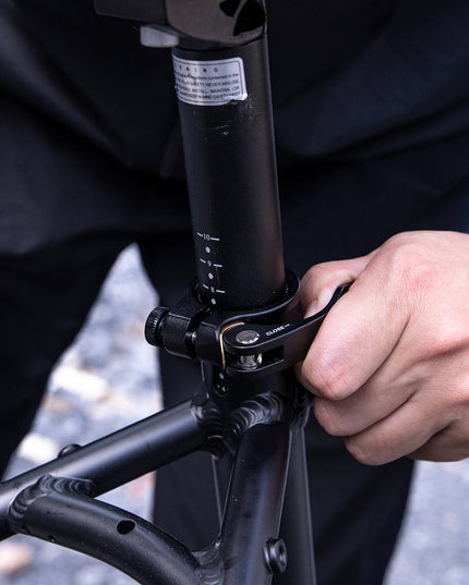 Professional Electric Bike For Adult