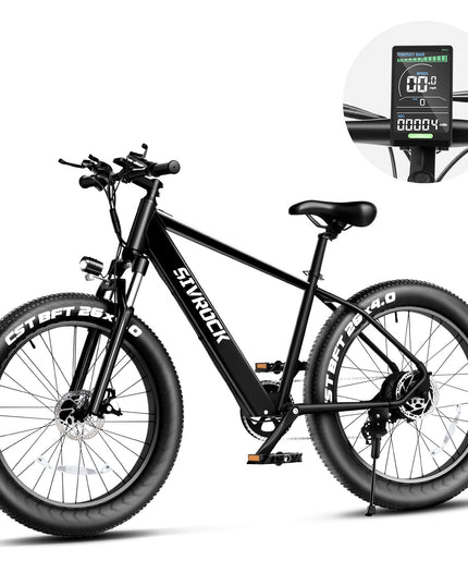 Professional Electric Bike For Adult