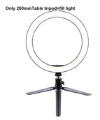 B 26cmFill light