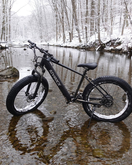 Professional Electric Bike For Adult