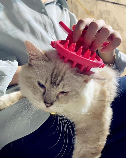 Cat Brush Shedding Grooming, Soft Massage Cat Tongue Brush, Licking Your Cat like a Mama Cat to Comfort, Surprise Pet Gifts