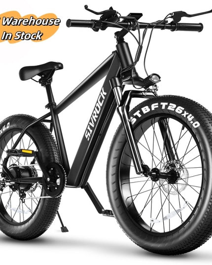 Professional Electric Bike For Adult