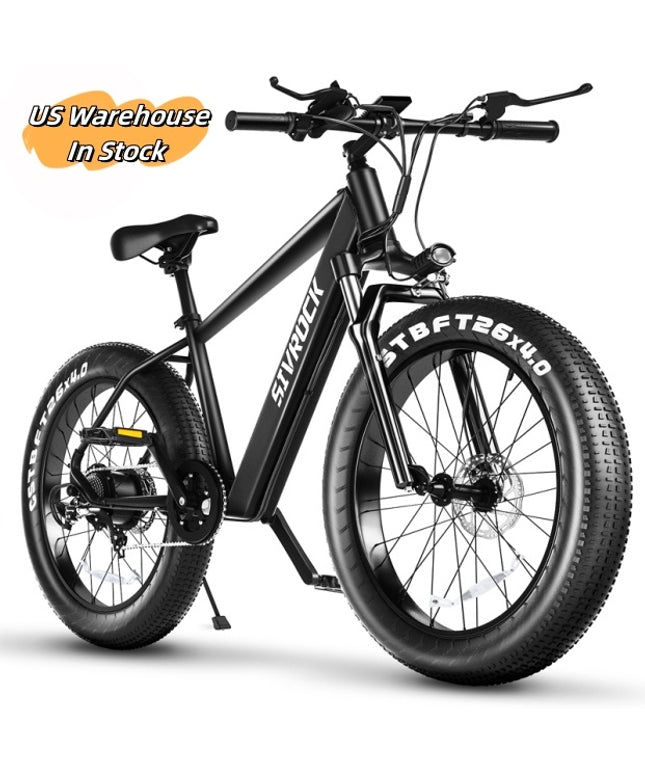 Professional Electric Bike For Adult