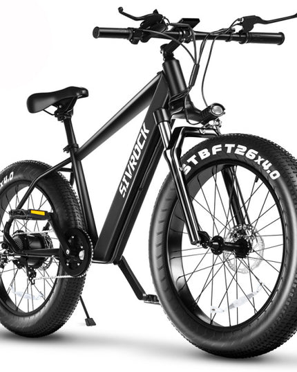 Professional Electric Bike For Adult