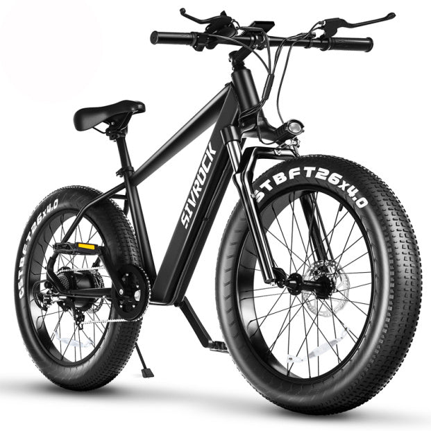 Professional Electric Bike For Adult
