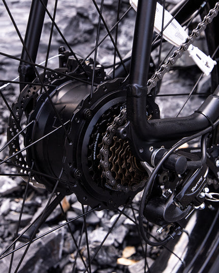Professional Electric Bike For Adult
