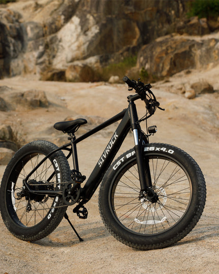 Professional Electric Bike For Adult