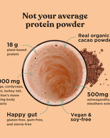 Organic Plant-Based Protein Powder Creamy Cacao Protein with Lion’S Mane, Chaga, Cordyceps and More | Clean Vegan Protein Elevated for Brain Function and Immune Support | 21.16 Oz