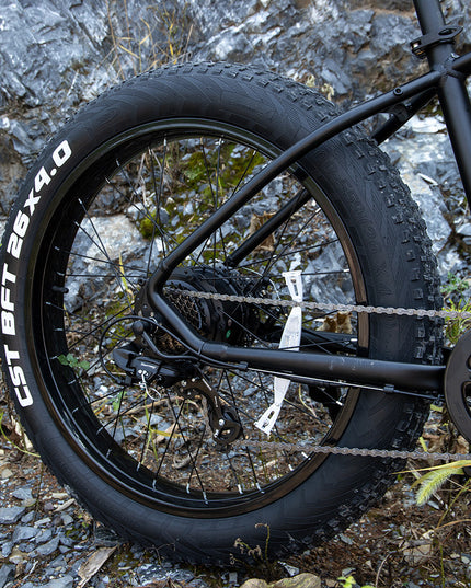 Professional Electric Bike For Adult