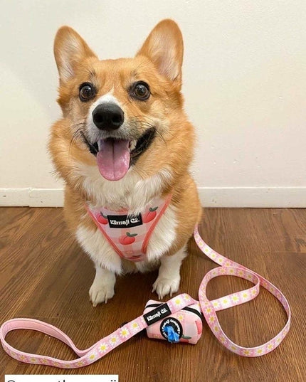 Precious Peach Collection-Adjustable Harness