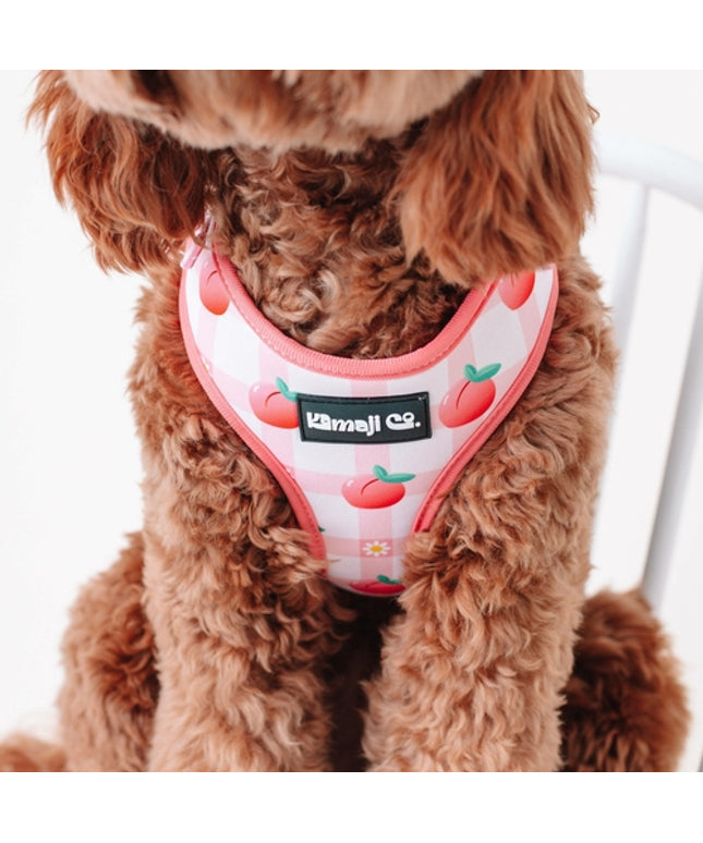 Precious Peach Collection-Adjustable Harness